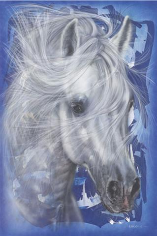 Poster - Horse in blue